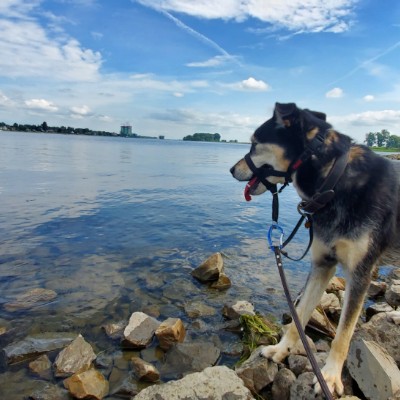 Stoffel De Roover post 3