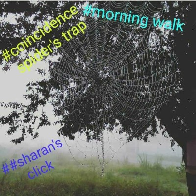 Good Morning Sharan ⛹️🚴🏊🏇 post image