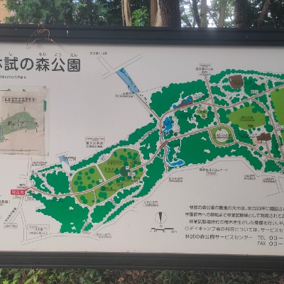 てぃーだ たま post image