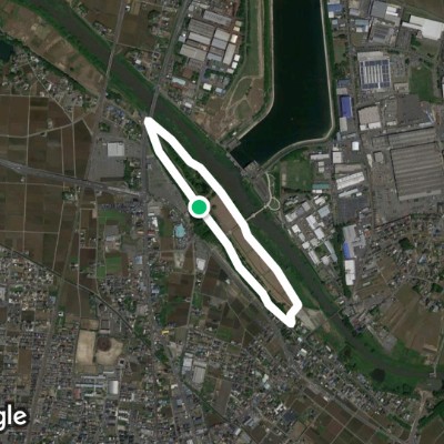 幸手権現堂桜堤(4号公園)