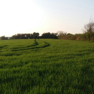 Cleet hill ravensden walking route map in Bedford