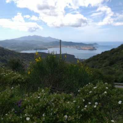 Elba island walking route map in Il Piano-San Francesco