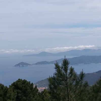 Elba island walking route map in Poggio