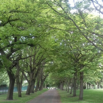 East Park,  East Park Way, Wolverhampton. walking route map in Bilston