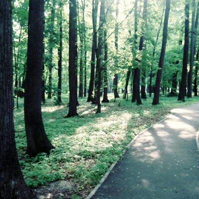 Zelenodolsk, 4.73 km walking route map in Zelenodolsk