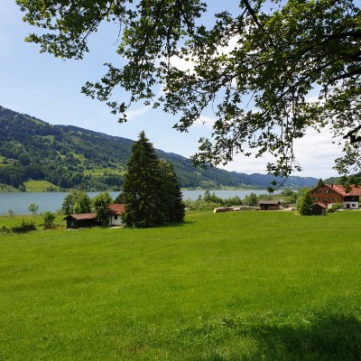 Skywalk Scheidegg in the Allgäu walking route map in Burgberg im Allgäu