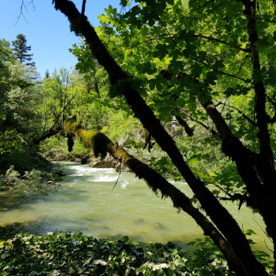 From Bourg de Sirod to Sirod walking route map in Sirod