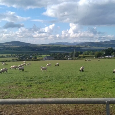 Over the hill...and back. walking route map in Bogay