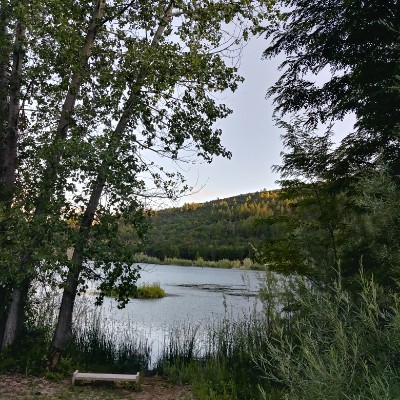 Greenhorn park walking route map in Montague