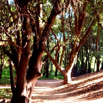 Lodi Lake Wilderness Trail walking route map in Acampo
