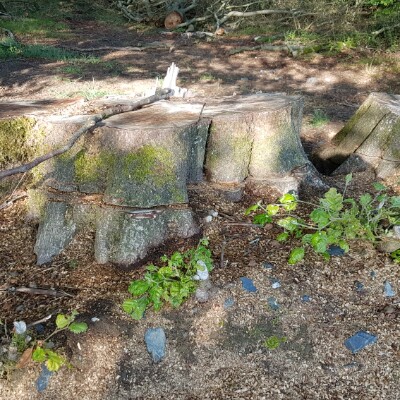 Beef Path walking route map in Vaux-sur-Sûre