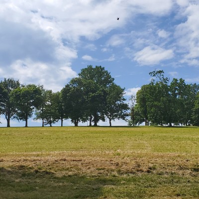 Worlds End Reservation walking route map in Cohasset