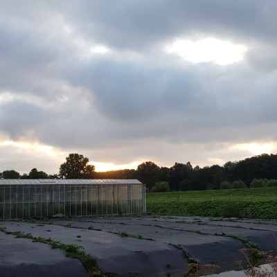 Delft out of city trail walking route map in Delft