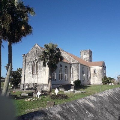 Campo de caña a través de Porey Spring, Rock Hall, St. Thomas Sendero