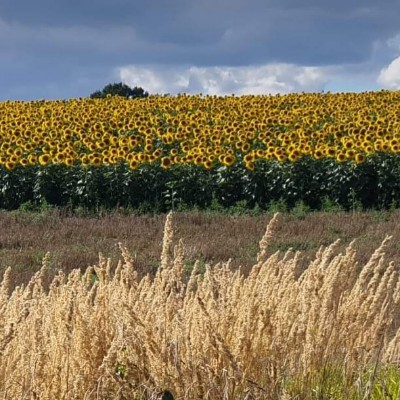 Clousettes path walking route map in Quincy-Voisins
