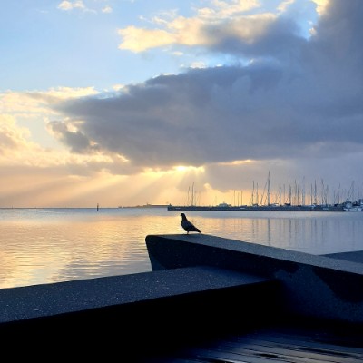 Eastern Beach to Rippleside 8km Loop walking route map in Rippleside