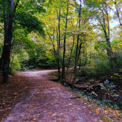 Пътека на здравето/Path of Health