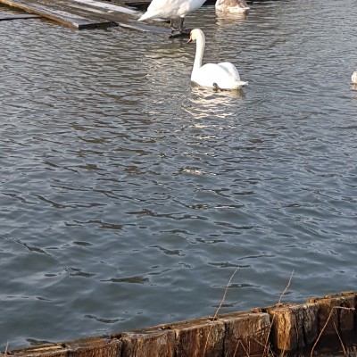 Middle lake walking route map in L'zi