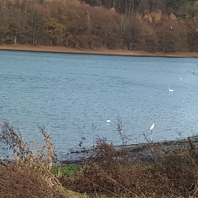 Lingesetalsperre walking route map in Marienheide