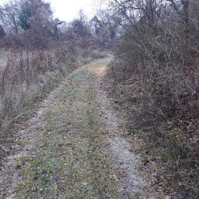 The beautiful colors of autumn walking route map in Chouilly