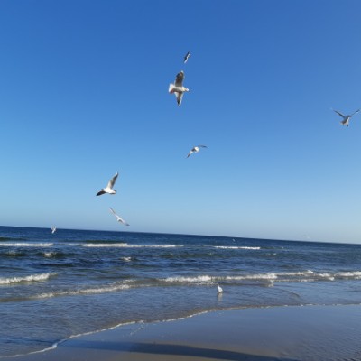 Usedom/karlshagen walking route map in Karlshagen