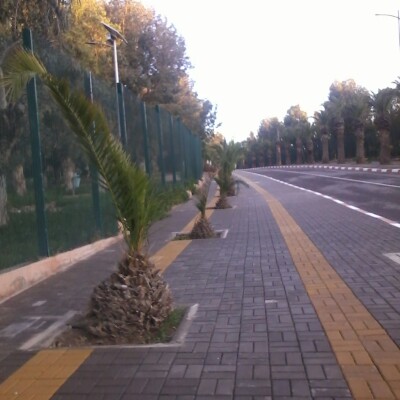 Youssoufia walk walking route map in Tiwli