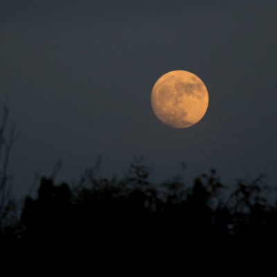 The darkest paths around Oud Gastel (evening walk) walking route map in Oud Gastel