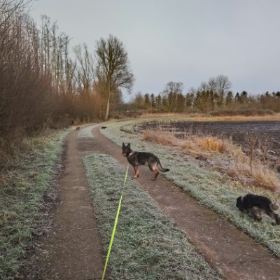 Breitenburg moor canal walking route map in Rethwisch