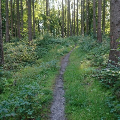 Hütter Wohld big round walking route map in Bartenshagen-Parkentin