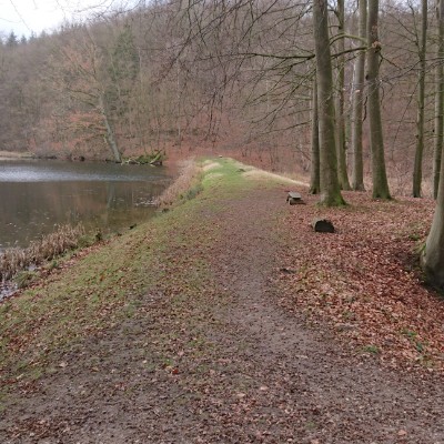 NSG Hütter Kloster Teiche une Totenweg walking route map in Bartenshagen-Parkentin
