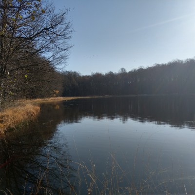 The forges walking route map in Raddon-et-Chapendu