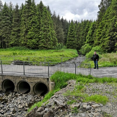 Banner Forest trail walking route map in Dungiven