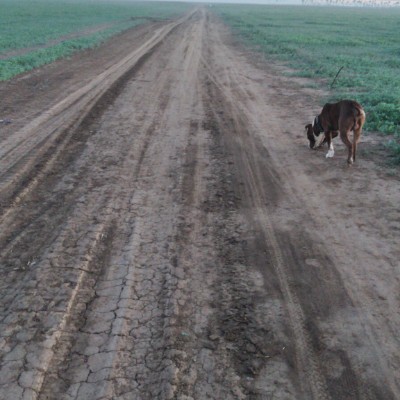 Road heading to Campo Nuevo Calle 30 de Julio Norte walking route map in San Luis