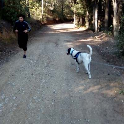 Kryoneri walking route map in Krioneri