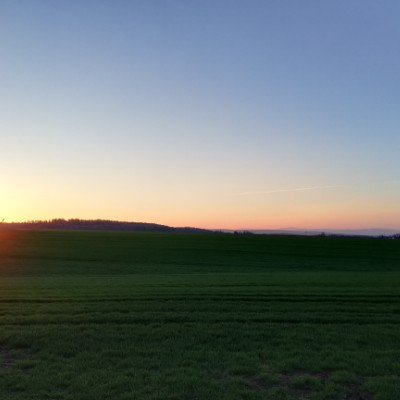 Quiet forest run walking route map in Zittau