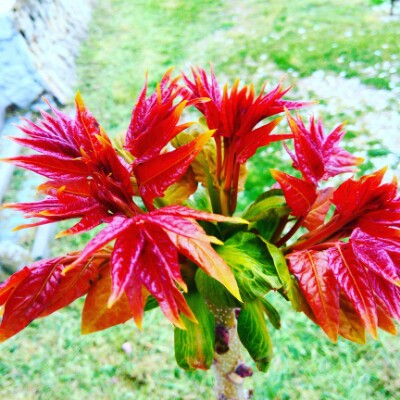 Gelendzhik Embankment walking route map in Gelendzhik