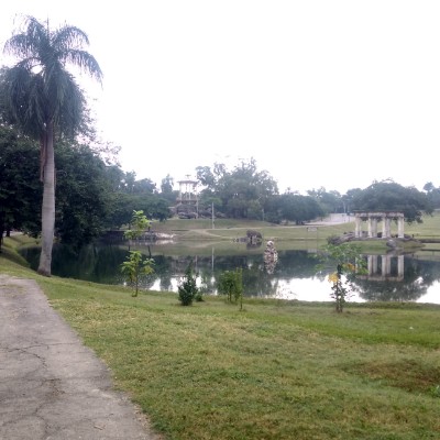 meus passinhos de cada dia