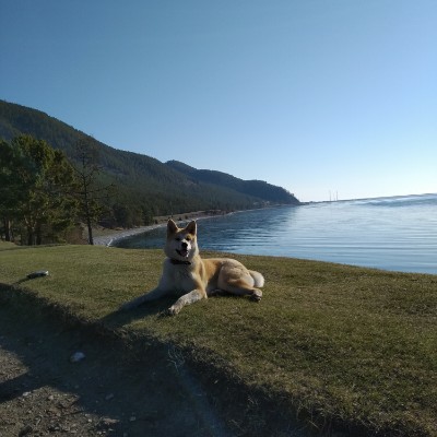Baikal, the village of Bolshoy Goloustnoe Dry Lake. walking route map in Большое Голоустное (иркутский)
