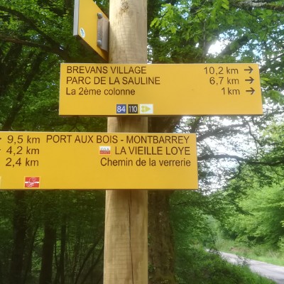 Forest of Lime. To Fontaine des Prés Bas. walking route map in Montbarrey