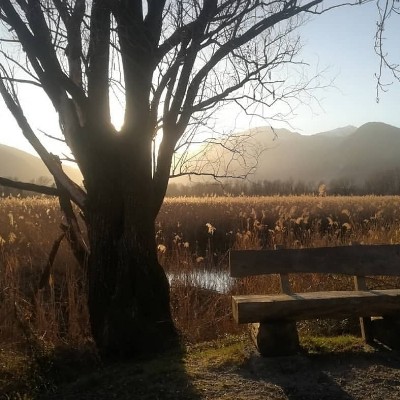 Natural reserve of Fondotoce walking route map in Fondotoce