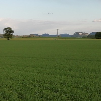 Enjoyment round to the village Wehlen walking route map in Pirna