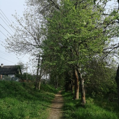 Walk along the canals walking route map in Shlisselburg