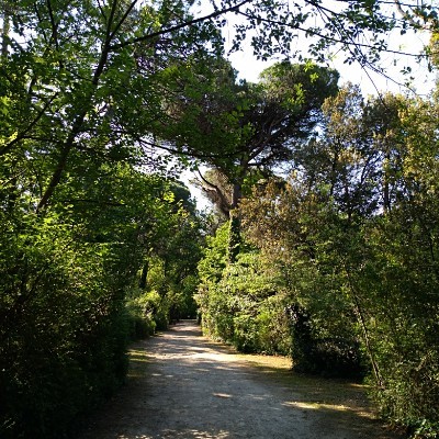 Milano Marittima pineta walking route map in Milano Marittima