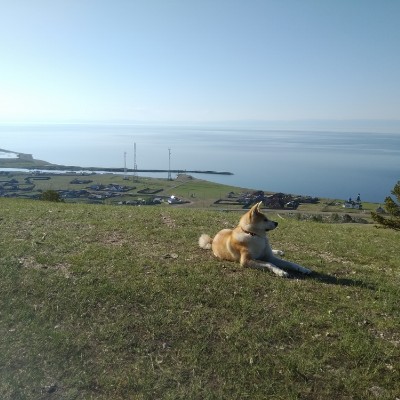 Baikal uphill from the mountain. walking route map in Большое Голоустное (иркутский)