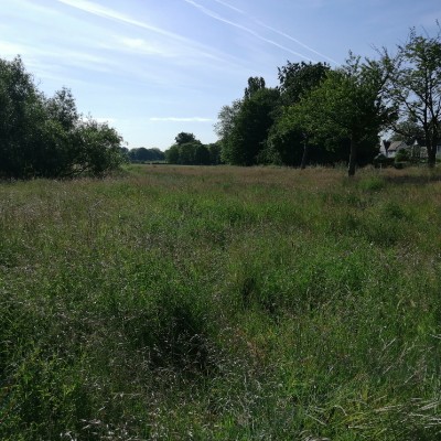 Bantock Park walking route map in Bilston