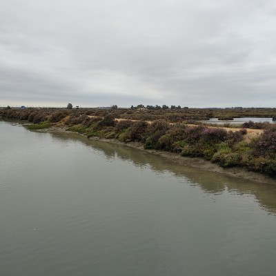 Torruños walking route map in Puerto Real
