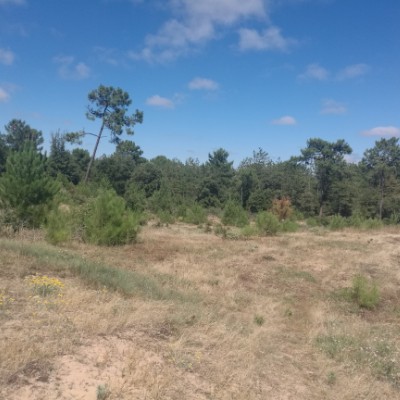 St Jean de Monts walking route map in Saint-Hilaire-de-Riez