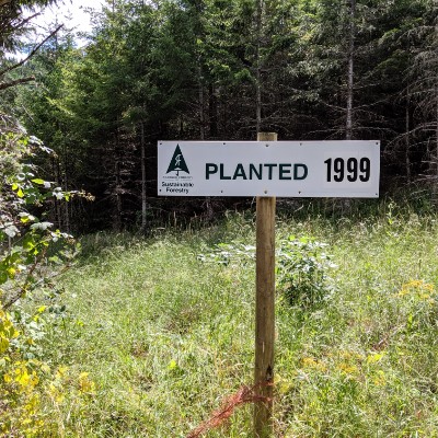 Planted 1999 via Eclipse walking route map in Corvallis