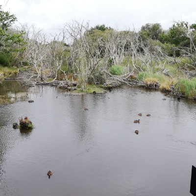 Mousterlin marsh trail walking route map in Fouesnant