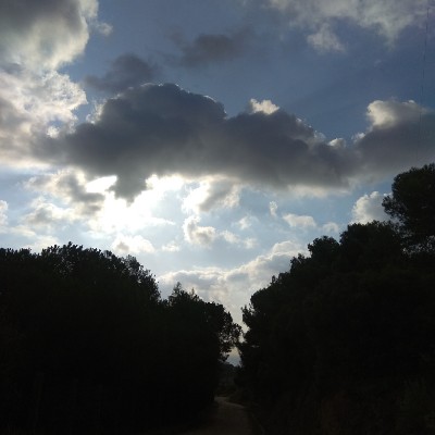 Parc de la Serralada de Marina walking route map in Badalona